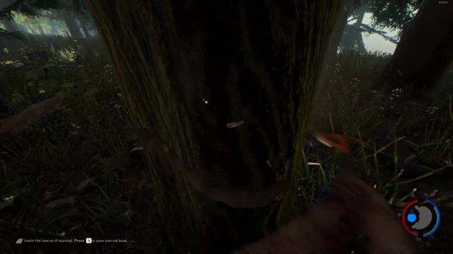 The Forest | GTX 1060 6GB Freamerate test смотреть онлайн