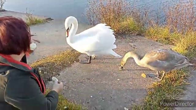 Шквал эмоций,простите ,не смогла держать себя в руках!!!!!!!!!// Двери в баню смотреть онлайн