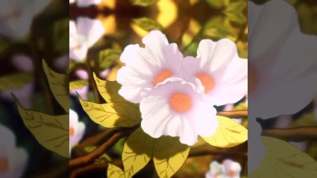 Аниме Клип - Покажи мне, Сеньорита, всё что хочешь смотреть онлайн