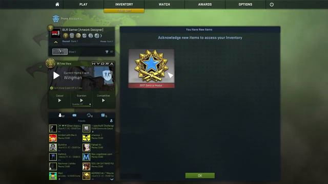 CS:GO 2017 Service Medal (Level 2) смотреть онлайн