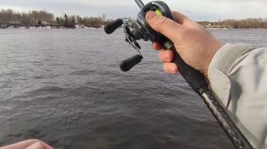 Daiwa Tatula 300 катушка для биг бейтов