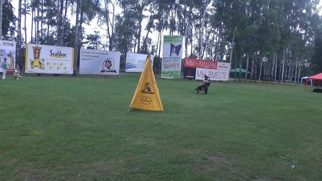 № 105. Лобовая Mac V. Merkur-Stern 6 отлично, ++-