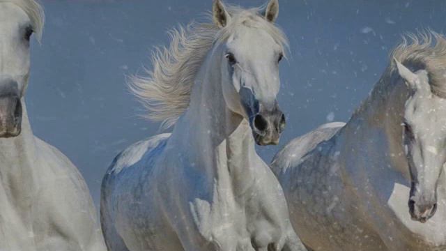 23 января - АНАЛИЗ ДНЯ (астрологический) смотреть онлайн