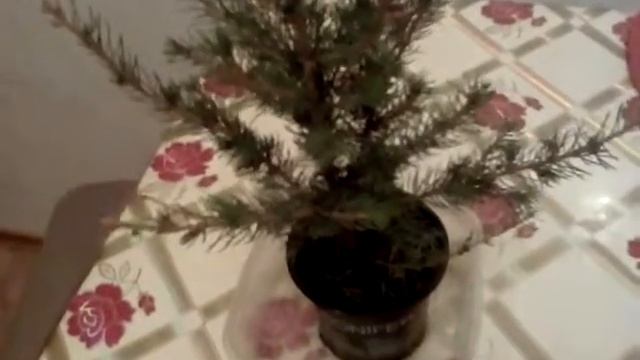 Секреты Творческой Самореализации