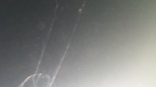 CRANKA CRAB VS GULP SHRIMP Bream Fishing Challenge. смотреть онлайн