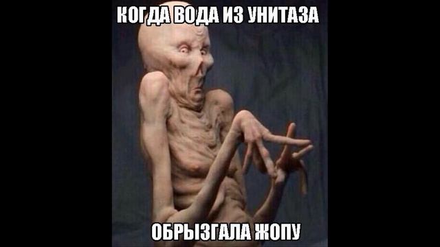 Когда вода из унитаза обрызгала жопу смотреть онлайн
