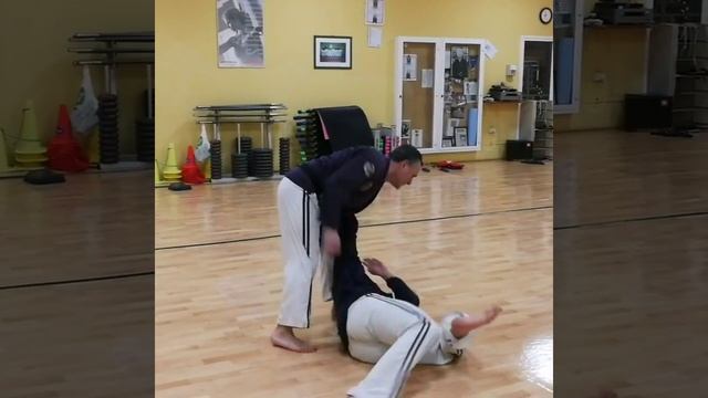 Bushido Martial
Academy
WJJF DAN Program
