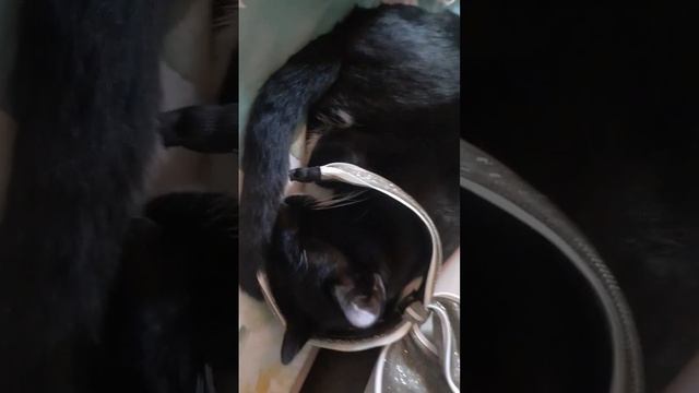 С днем рождения смотреть онлайн