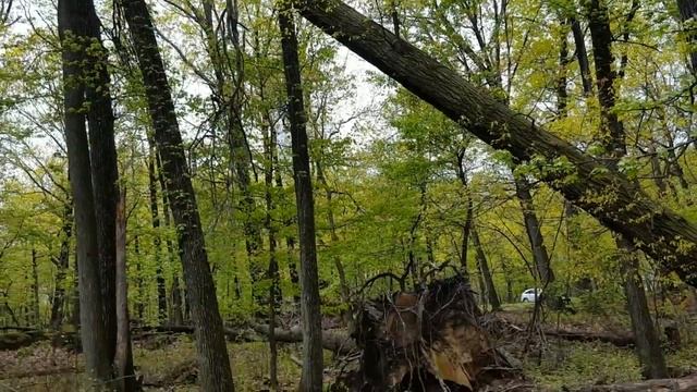 США. Форт Ли. Исторический парк смотреть онлайн