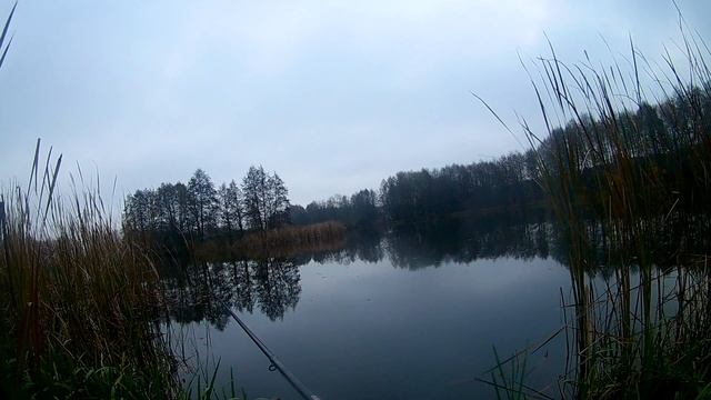 Супер рыбалка осенью на реке. Лучшая насадка для рыбалки в бесклевье. смотреть онлайн
