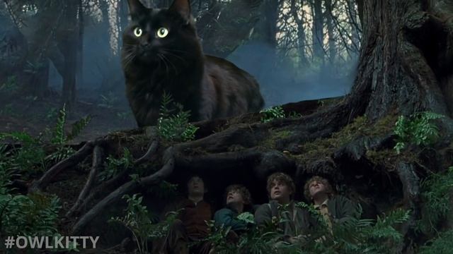 Lord of the Rings + My Cat смотреть онлайн