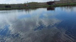 Куда поехать на майские. Рыбалка в Лыткарино. Платная рыбалка "Рыбачок".