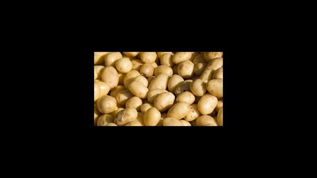 Как хранить картофель в квартире смотреть онлайн