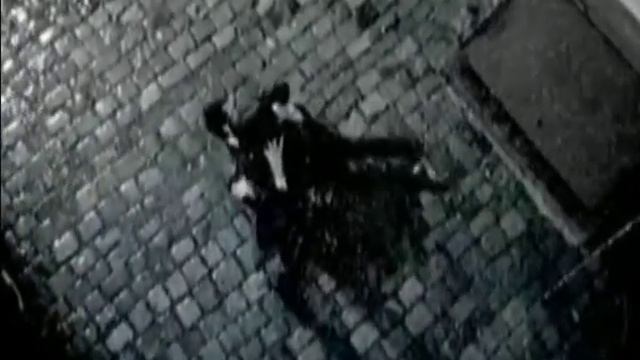 Sergey Penkin Za pelenoy dozhdya смотреть онлайн