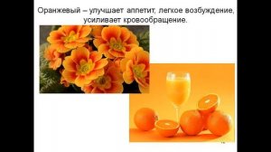 Цвет в архитектуре и дизайне. 7 класс