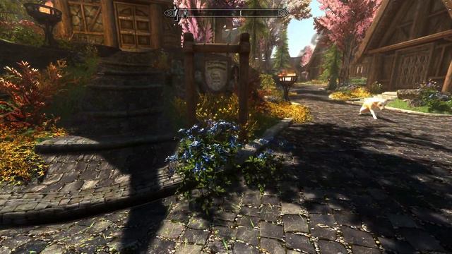 [Skyrim SE - ENB tweak] How to fix vegetations popping out of shadows. смотреть онлайн