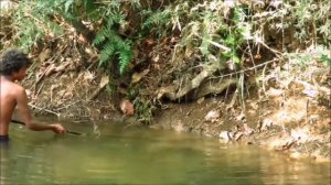 Охота на кракодила в диких условиях