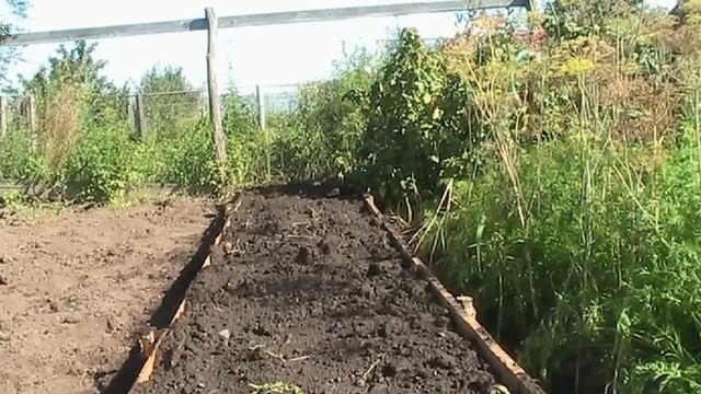 Теплые грядки! Изготовление теплой грядки осенью! // секреты хороших урожаев. смотреть онлайн