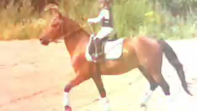 Моя конюшня 🐎🐴 смотреть онлайн