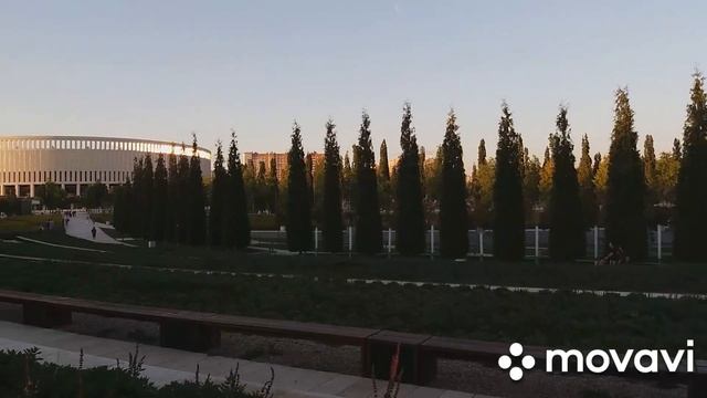 В парке Галицкого цветет шалфей.Отдых и релакс. смотреть онлайн