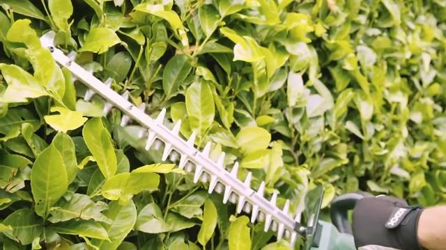 מגזמת נטענת 36V CH3656DA של היקוקי מבית היטאצ'י смотреть онлайн