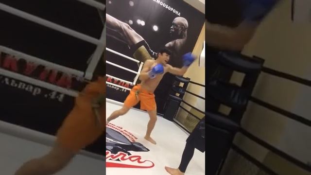 Samarqanda mma смотреть онлайн