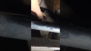 ЛадаВеста замена резонатор гофры Или как открутить гайки