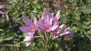 2 марта день Мариамны Кикиморы, что нельзя делать сегодня по народным приметам #приметынасегодня