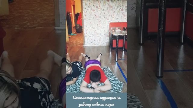 Сенсомоторная коррекция на работу ствола мозга. Аутизм смотреть онлайн