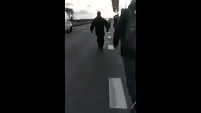 Аист сопровождал Крестный ход на протяжении 15 км. смотреть онлайн