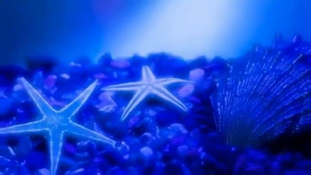 ПОТРЯСАЮЩЕ КРАСИВАЯ ЛИРИЧНАЯ МУЗЫКА. РОМАНТИЧНАЯ АРАБСКАЯ МЕЛОДИЯ. Безусловно стоит послушать. смотреть онлайн