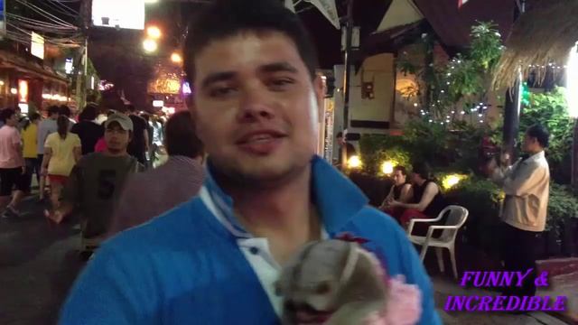 Lemurs the most cute animals in the world,Лемуры самые милые животные в мире смотреть онлайн