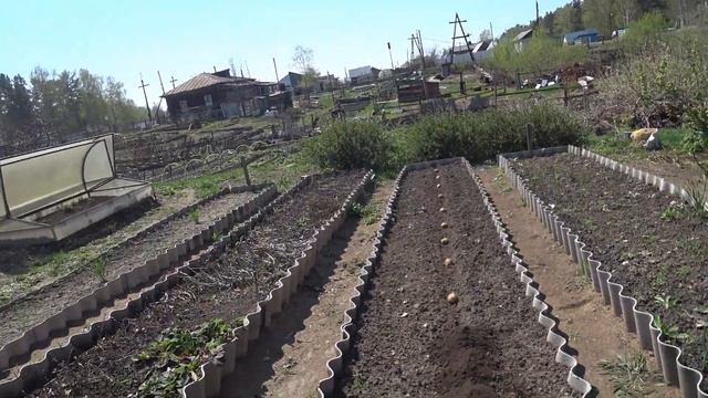 Посадили КАРТОШКУ ПО-НОВОМУ под ГРЕБЕНЬ Какое УДОБРЕНИЕ использую при посадке смотреть онлайн