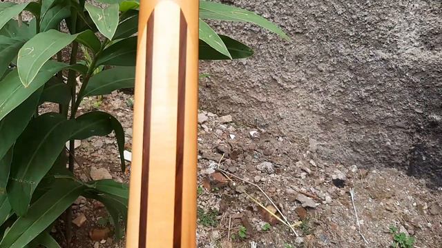 ter jual Cort X6 original смотреть онлайн