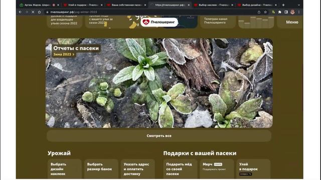 Как купить ОНЛАЙН улей в ПЧЕЛОШЕРИНГ и получать с него свой собственный мёд. Артем Жаров. смотреть онлайн