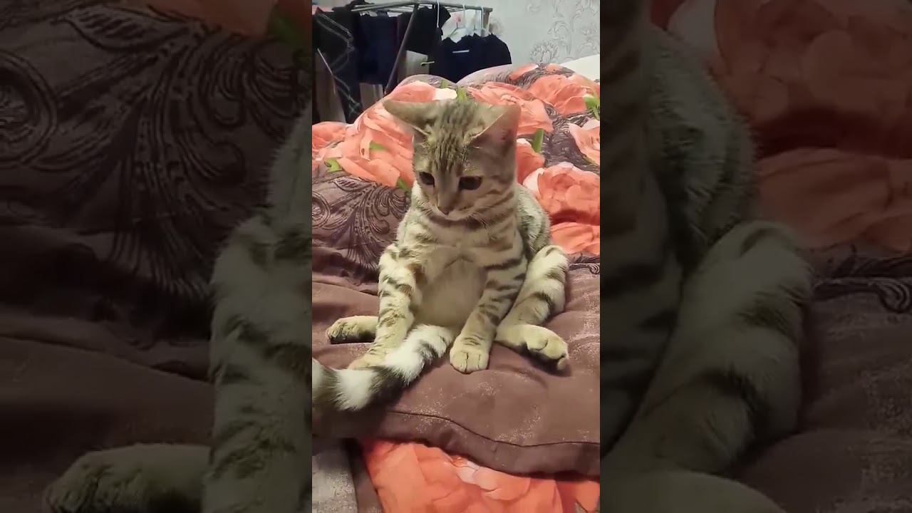 22 января 2020 г. смотреть онлайн