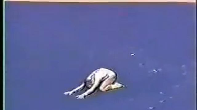Bojanka Demireva - 1985 Chunichi Cup EF - Floor Exercise смотреть онлайн