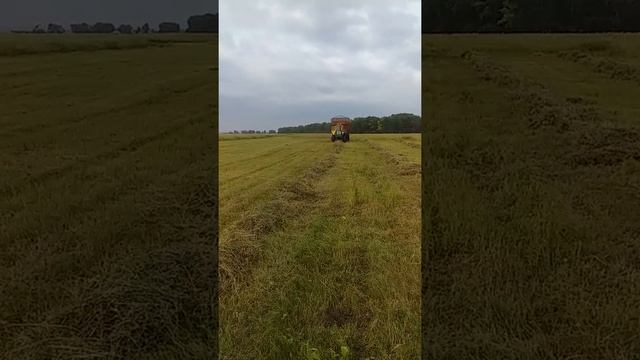 уборка сена птф45 смотреть онлайн