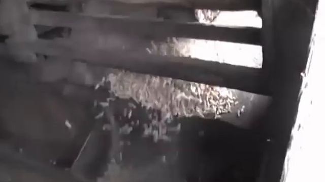 продаю экструдеры для приготовления корма производительность 20-150 кг/час смотреть онлайн