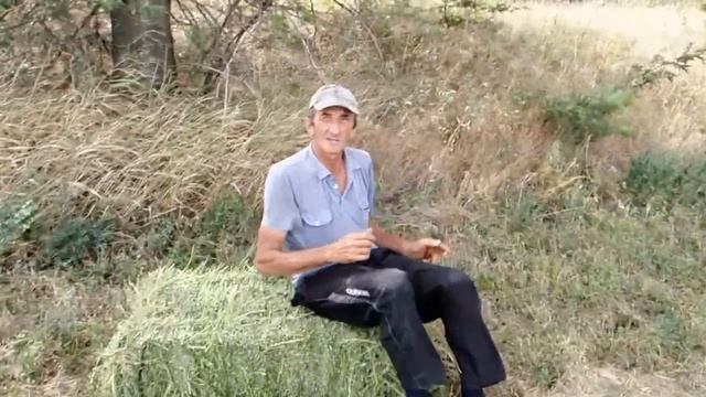 Тюковка сена (1) 21.08.2015 смотреть онлайн