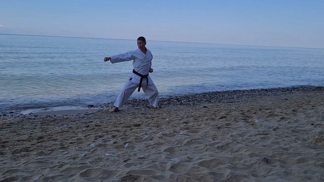 Ката Хейан нидан под музыку. ALMAZ каратэ клуб. Абэ-рю.(Учебное пособие, shotokan kata: heian nidan смотреть онлайн
