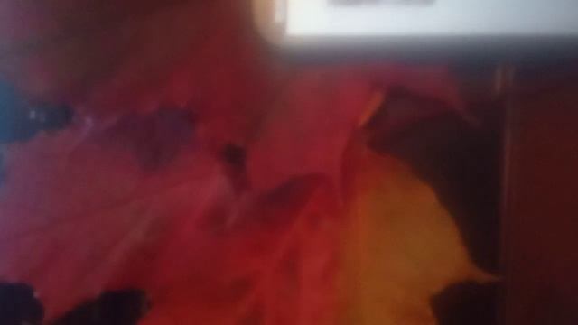 Семейная психология смотреть онлайн