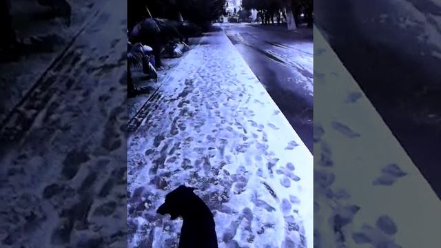 СУХУМ!!! смотреть онлайн