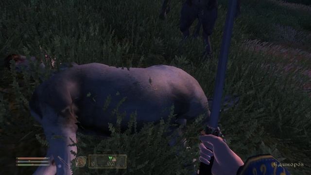 The Elder Scrolls IV Oblivion - Шкура Спасителя смотреть онлайн