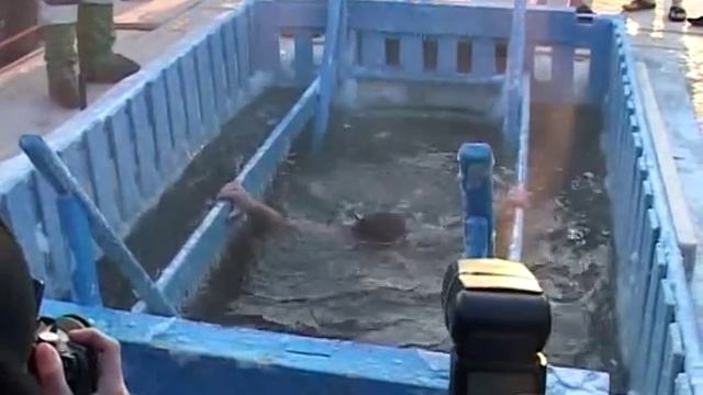 Крещенское купание смотреть онлайн