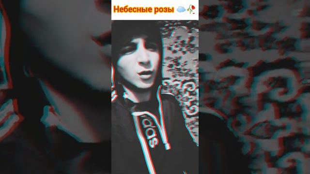 JONY - Небесные розы cover Князё Крымо 💔🥀💔 смотреть онлайн