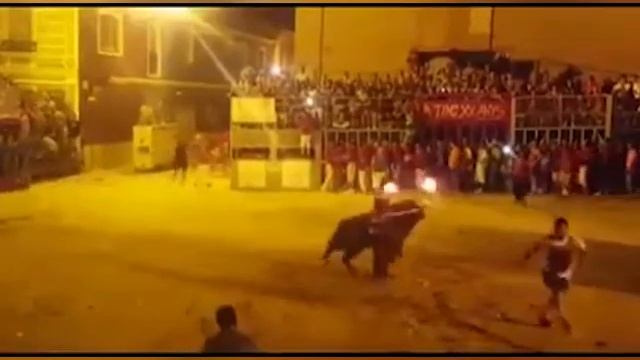 Животное рассталось с жизнью, когда люди подожгли ему рога смотреть онлайн