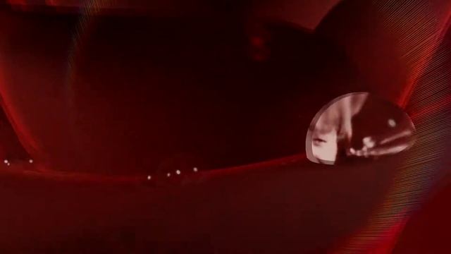 Мы 40 лет вместе! смотреть онлайн