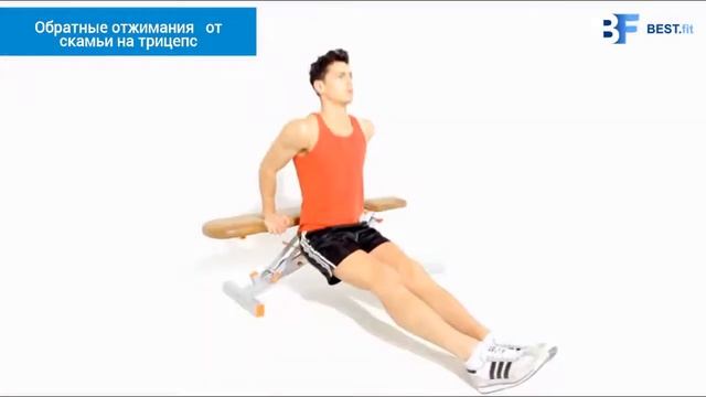 Обратные отжимания от скамьи на трицепс смотреть онлайн