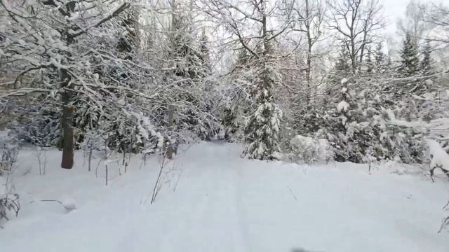 Фотоохота с Альбертом.  Авантюра.